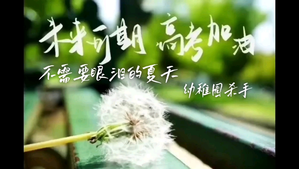 不需要眼泪的夏天加油吧少年未来可期
