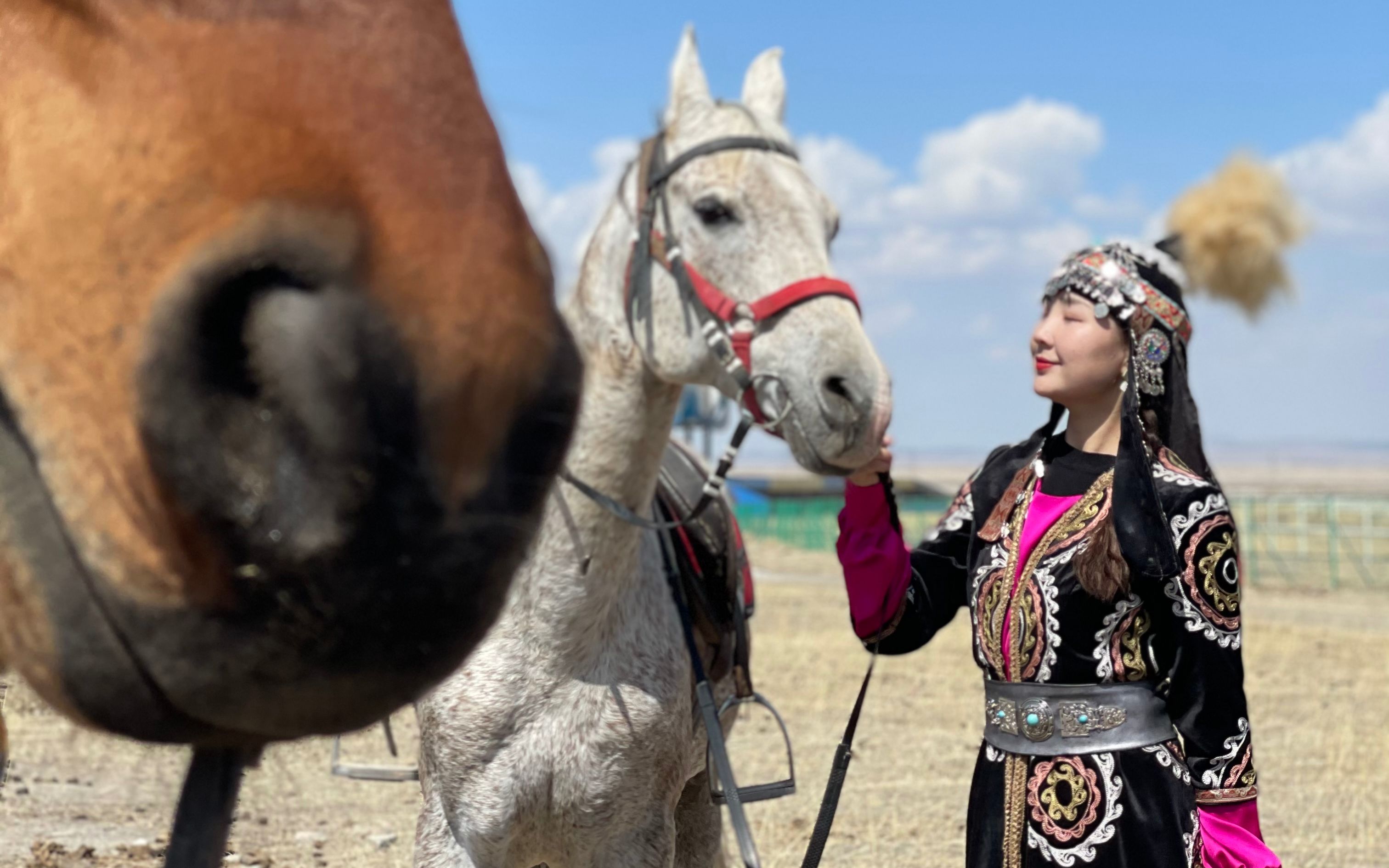 雪山脚下,我们弹起冬不拉,跳起黑走马!