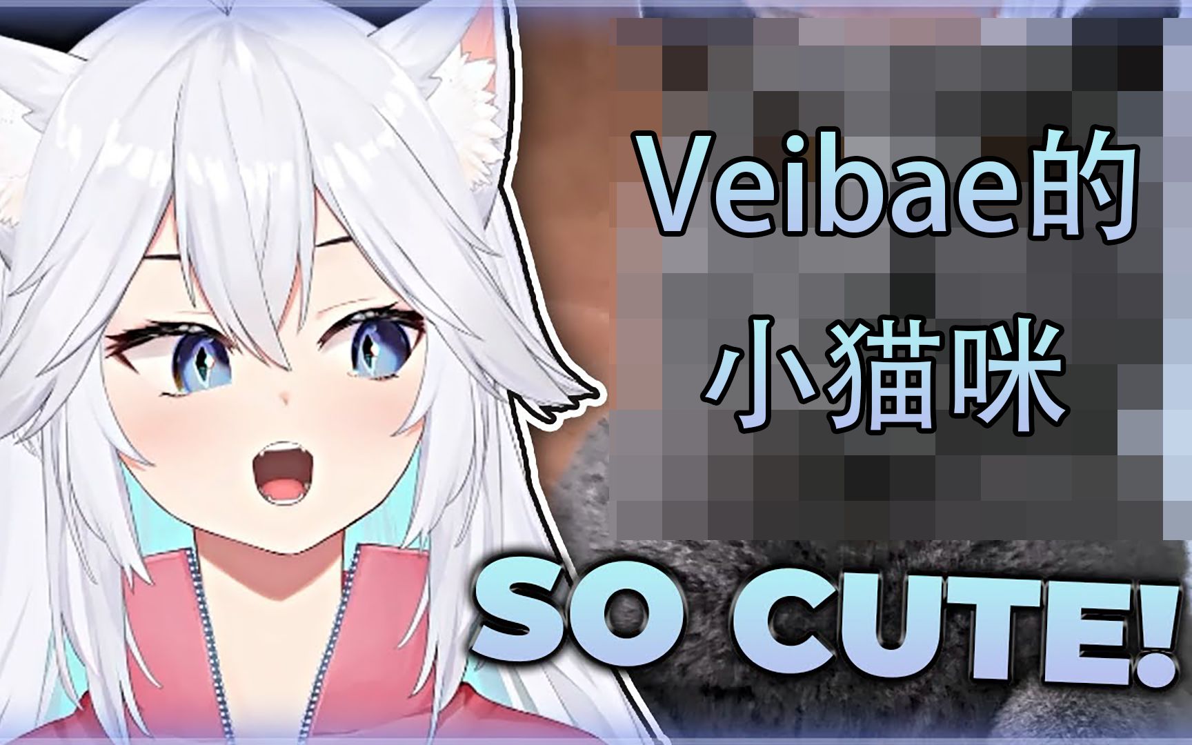 【官方熟肉/Veibae】点击即可观看猫咪图片哔哩哔哩bilibili