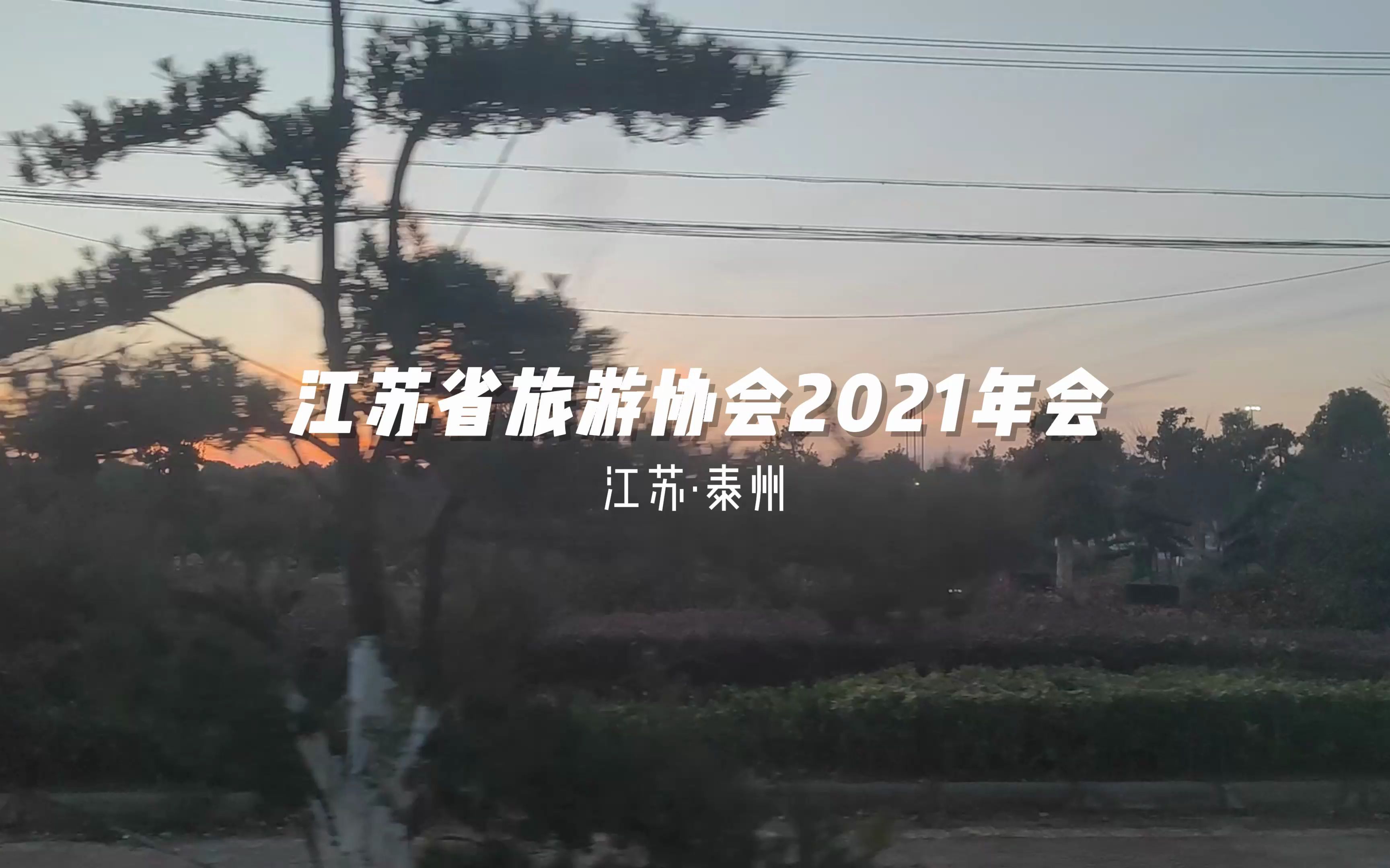 江苏省旅游协会2021年会哔哩哔哩bilibili