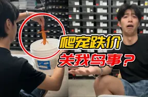 Video herunterladen: 带你看清爬宠大跌价的秘密！因为有我们这种人！！.