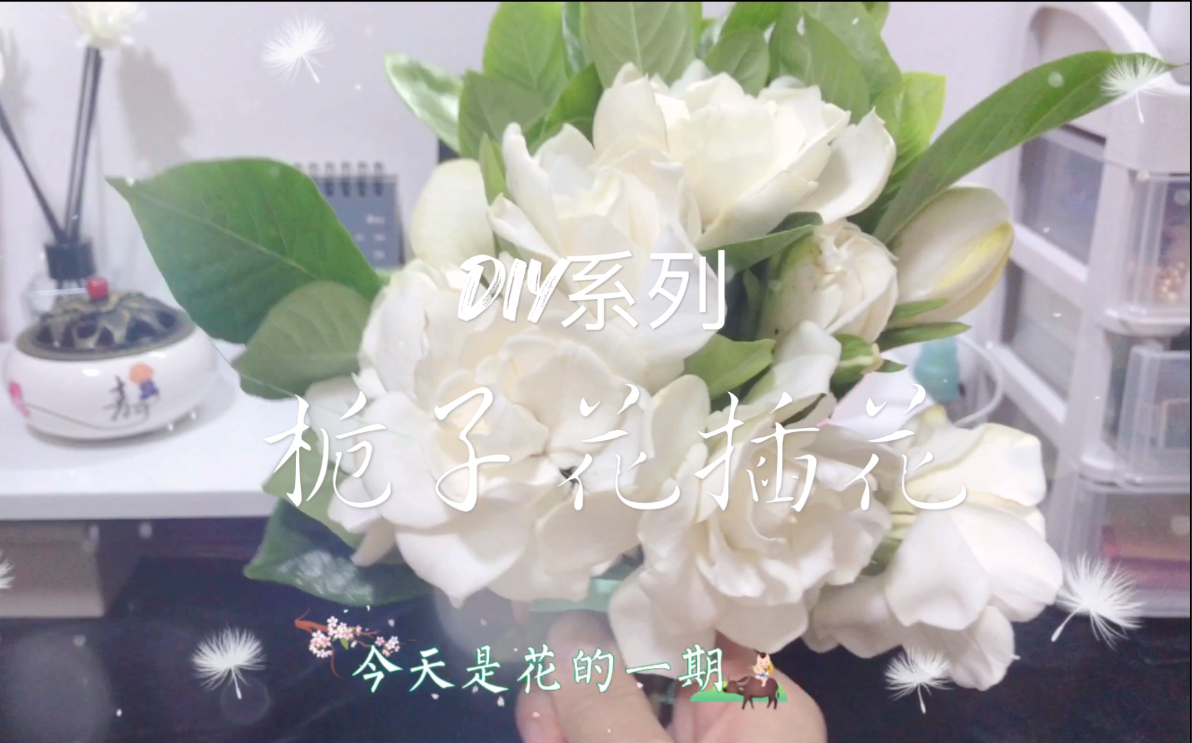 栀子花开——插花栀子花哔哩哔哩bilibili