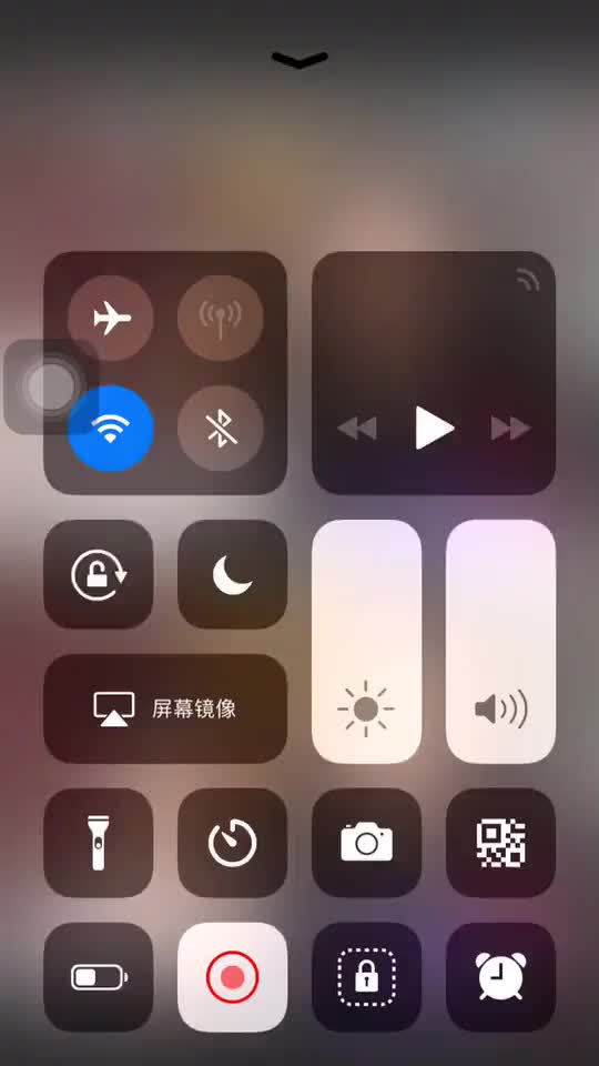 开心超喜欢你bonnie宝仪