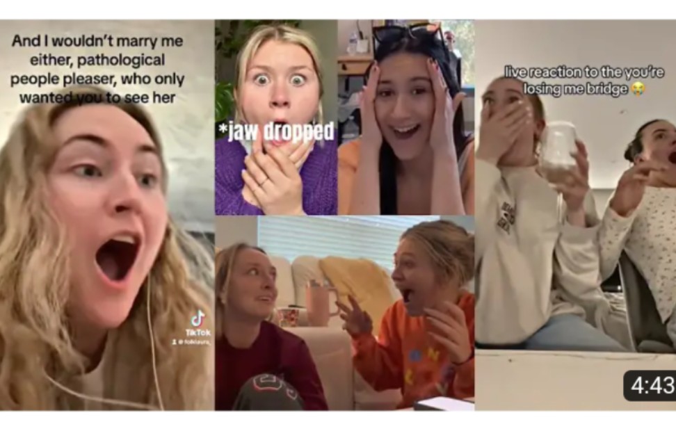 [图]"I wouldn't marry me either" reactions by Swifties-You're Losing Me-Taylor Swift