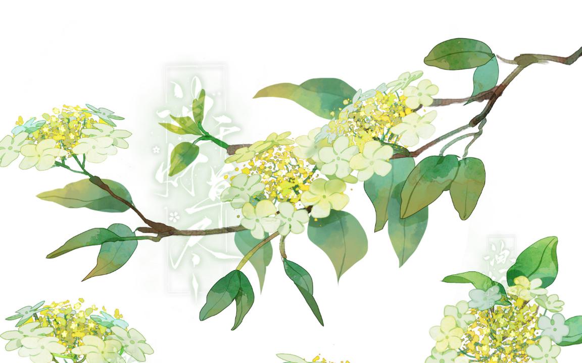 【花卉打卡】day07 琼花