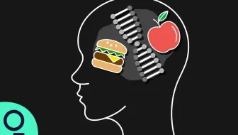 中英双字|健康新知：饮食如何如何影响我们的基因？
