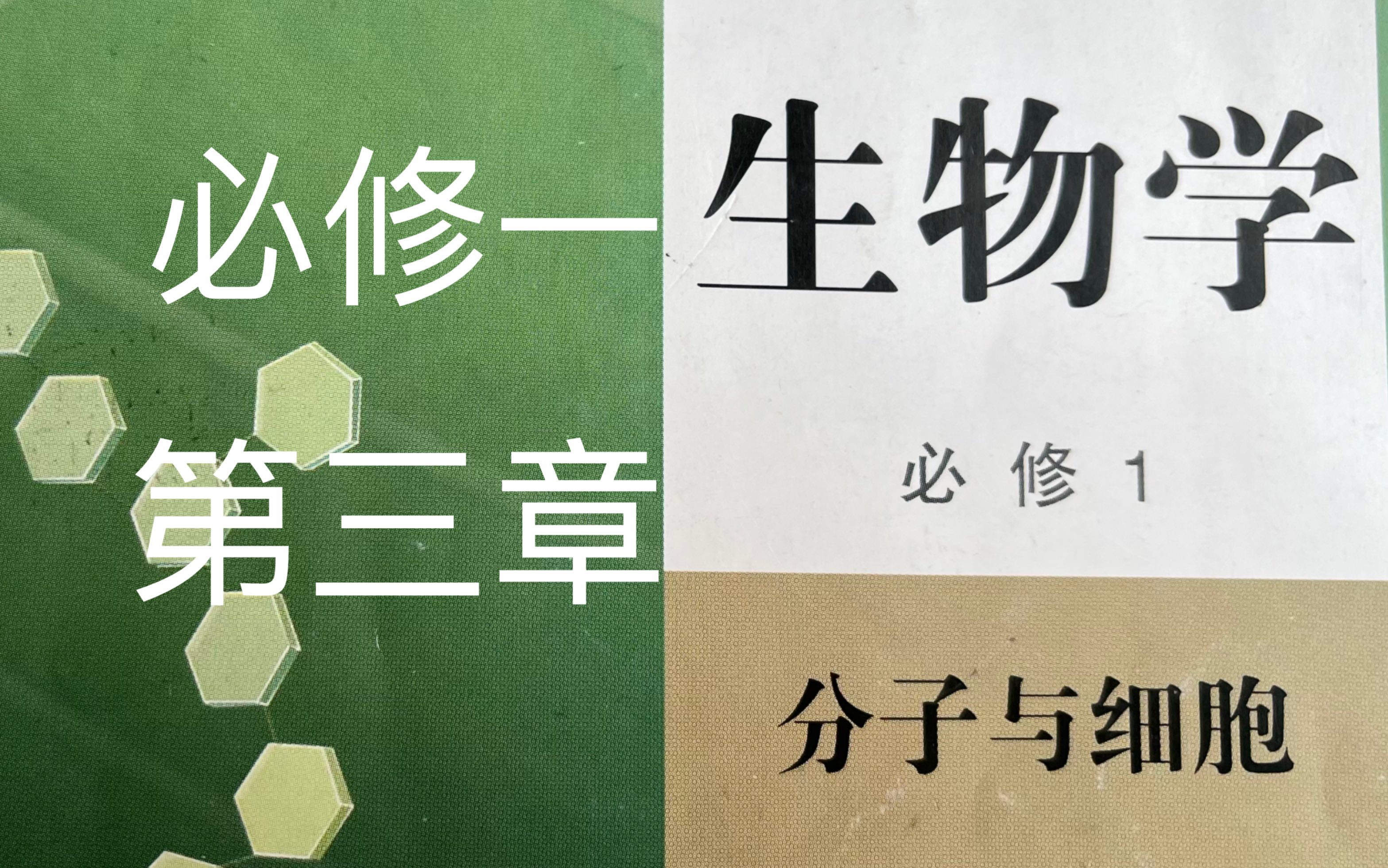 高一必修一新教材期中生物复习第三章知识梳理哔哩哔哩bilibili