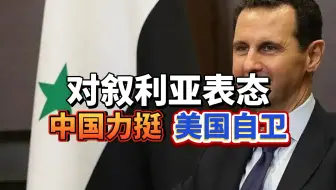 中国表态，支持叙利亚。美国自卫，空袭叙利亚 #叙利亚 #叙利亚总统巴沙尔 #联合国