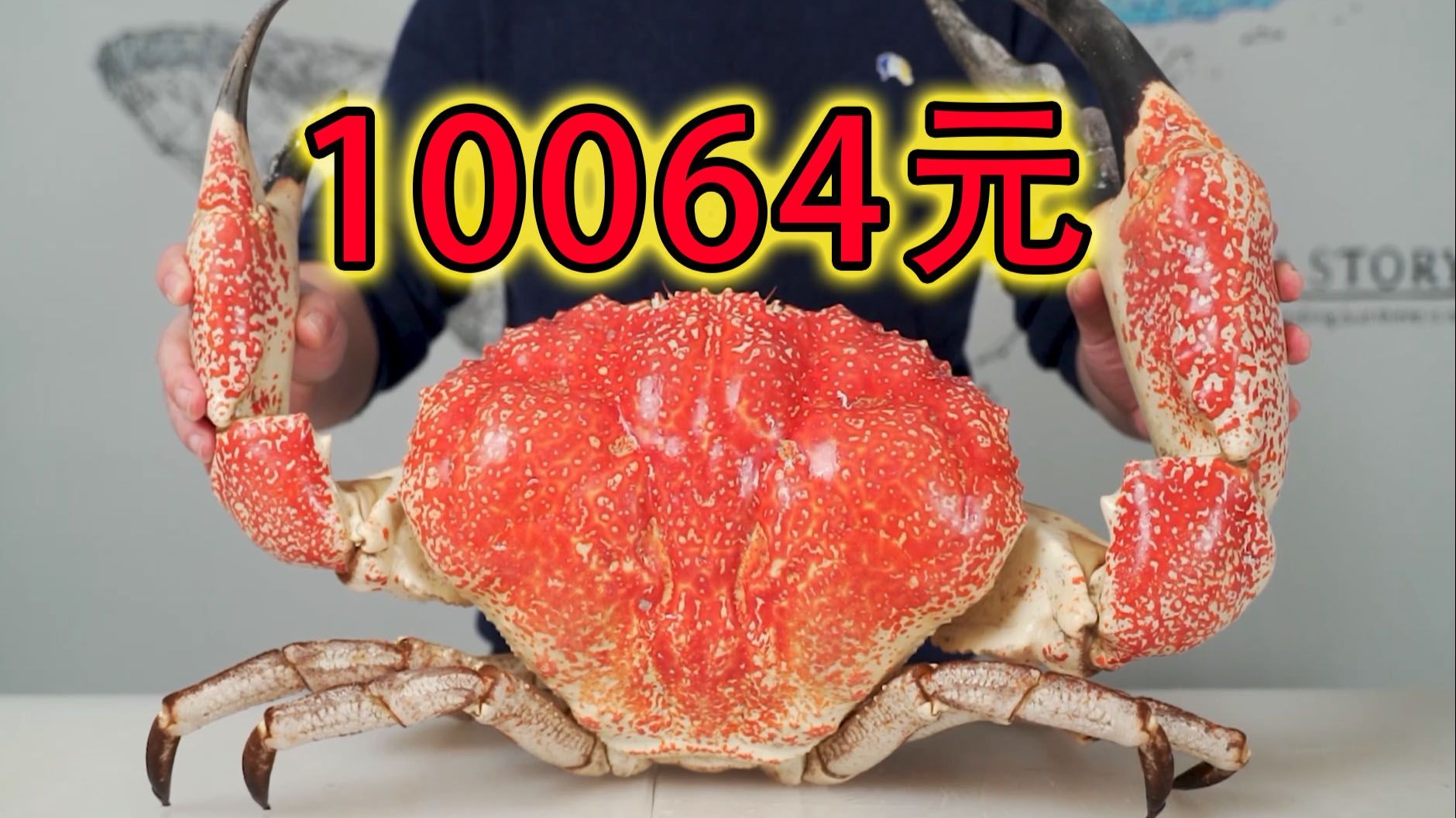 10064元一只的巨无霸皇帝蟹