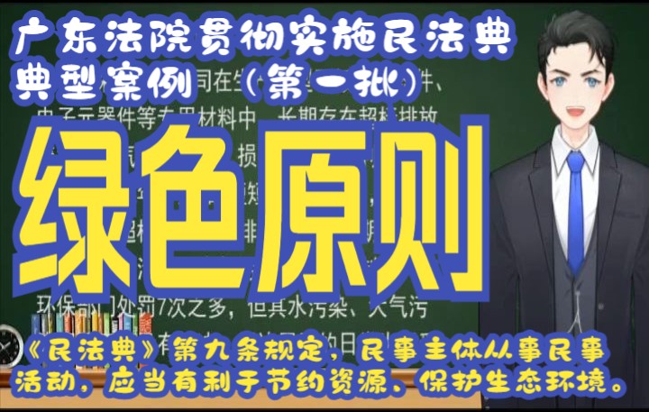 广东法院贯彻实施民法典典型案例 (第一批):案例三:依法适用绿色原则 ——源头爱好者环境研究所等与深超光电公司环境民事公益诉讼案哔哩哔哩...