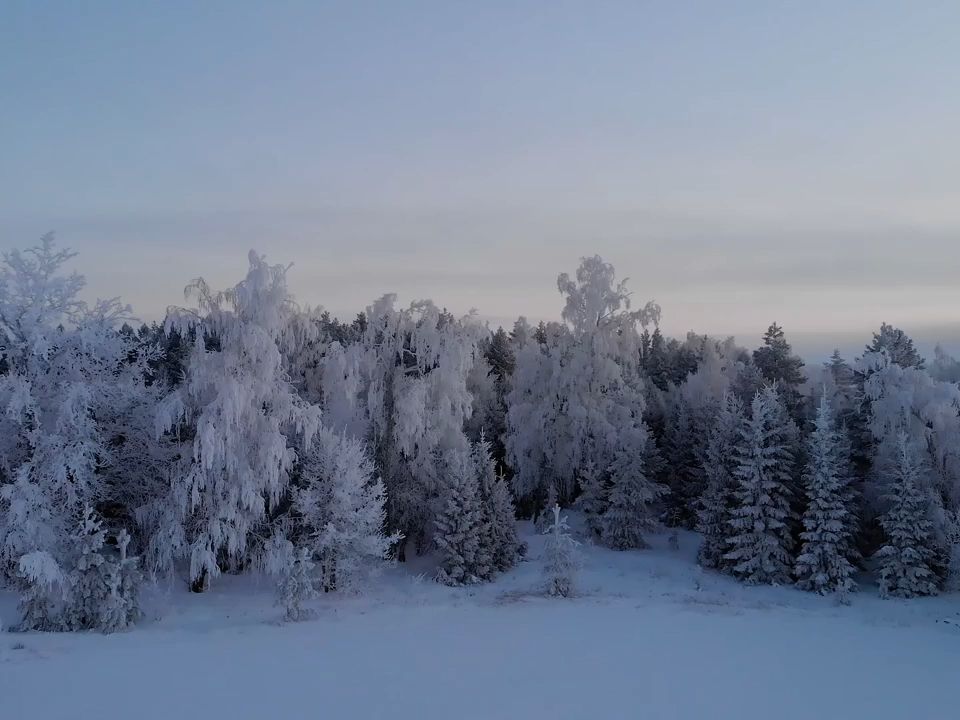 m1320 4k畫質大自然景色空鏡頭航拍高山雪原雪山白雪皚皚雪花飄落雪松