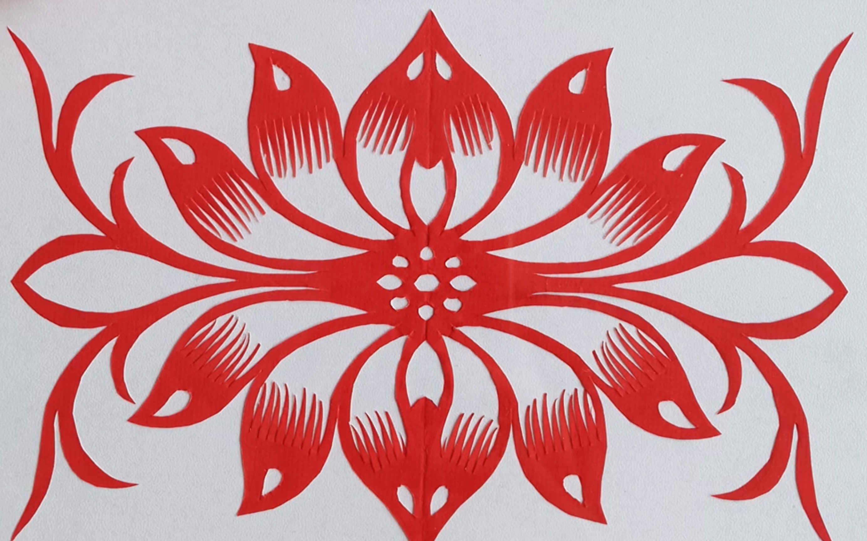 零基础学剪纸 荷花
