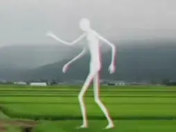 你干嘛踩我的田！