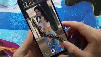 教你在手机上养条蛇，怕蛇的朋友看到了立马抓狂