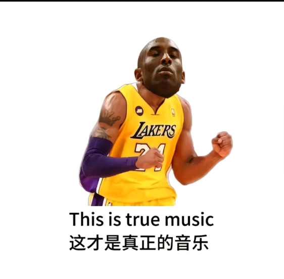 这才是真正的音乐.