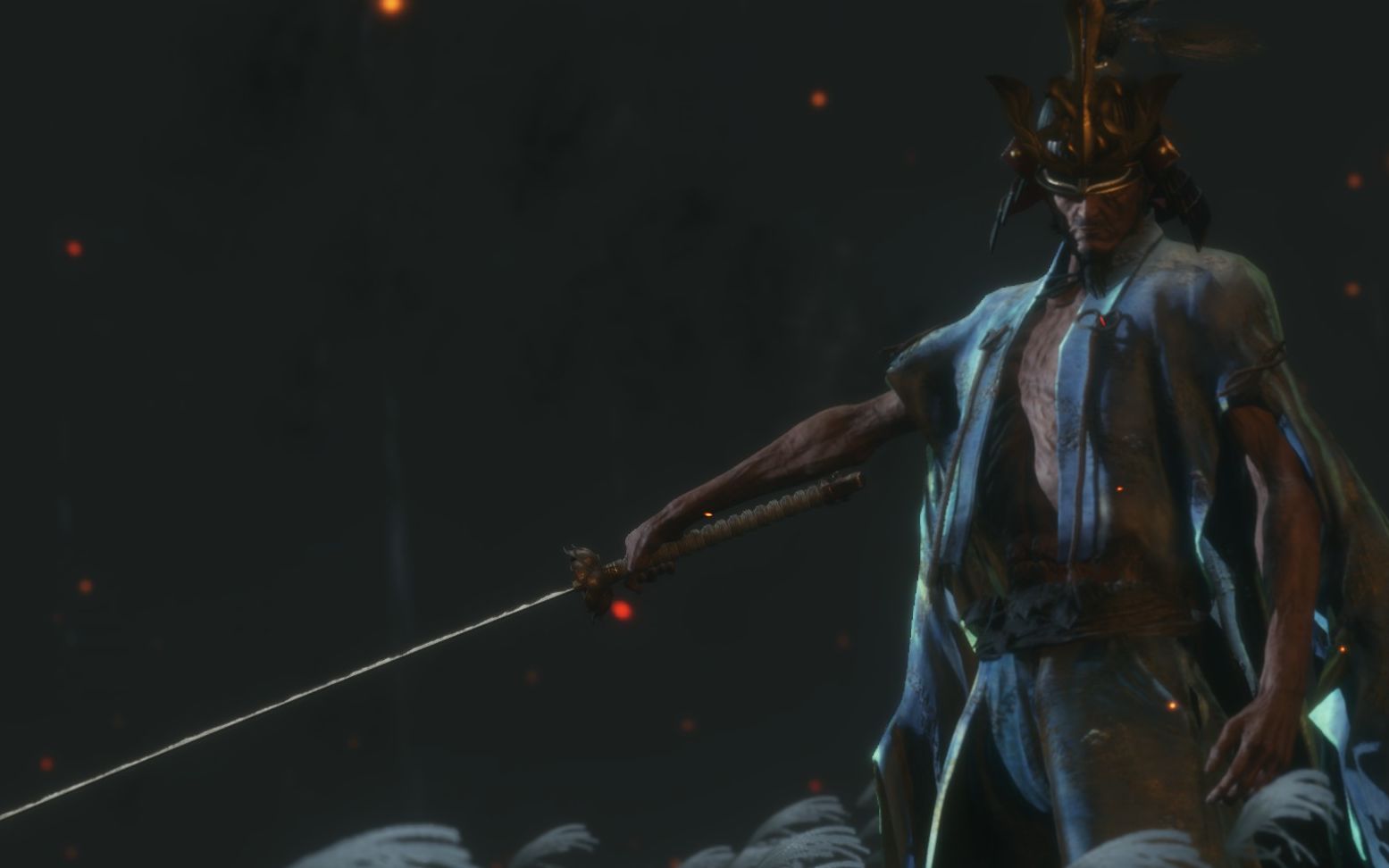 壮年剑圣只狼影逝二度八周目纪念