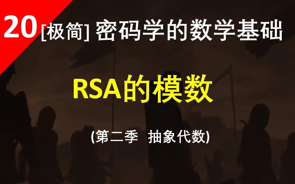 【RSA的模数+“环”预告】RSA算法的重要性不用多说了吧,那么它的模数有什么代数特性呢?哔哩哔哩bilibili