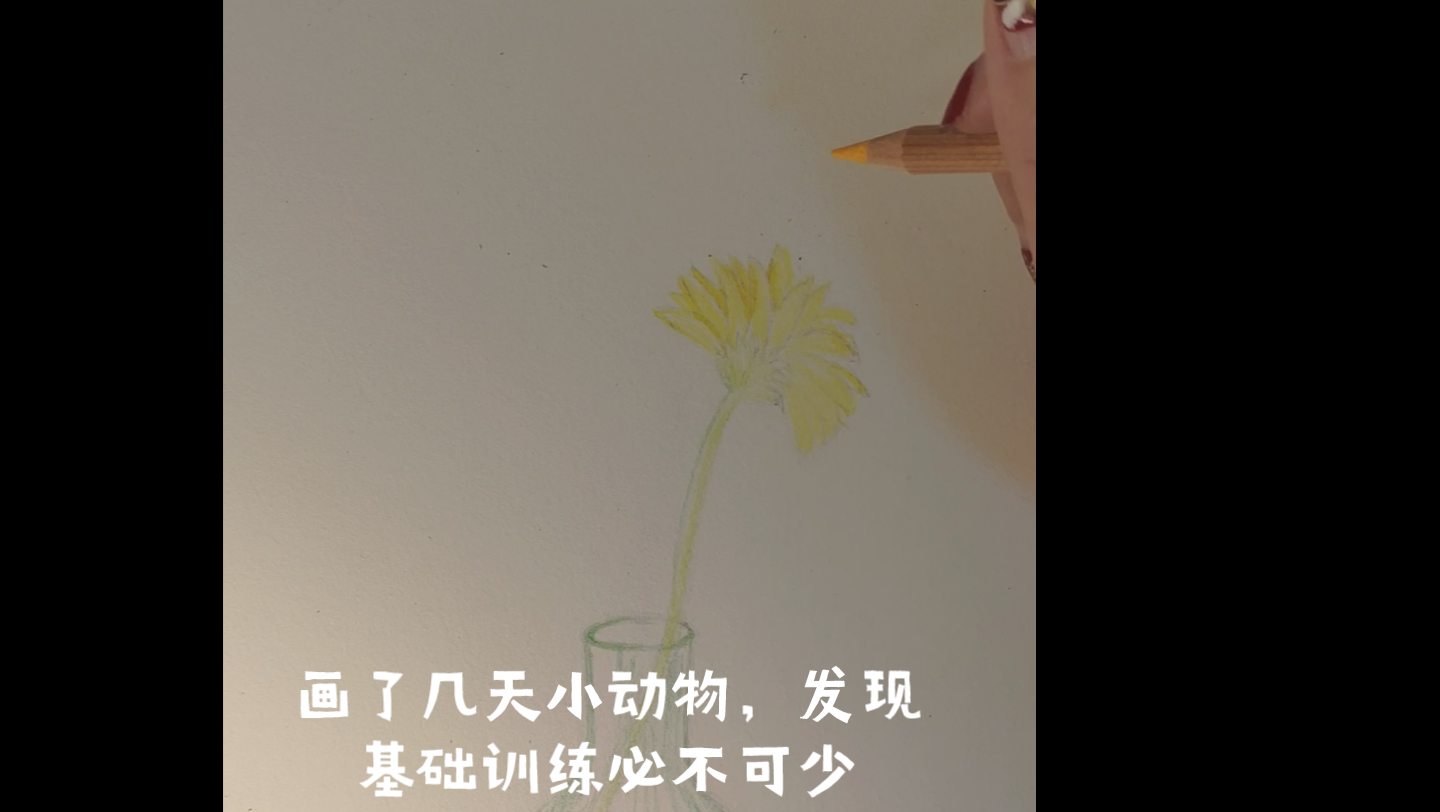 【彩铅画】瓶中花,基础练习哔哩哔哩bilibili