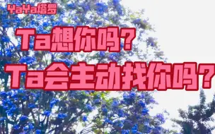 Download Video: 【YaYa塔罗】卡狗专场，近期他会想你吗？会主动联系你吗？(断联分手暧昧冷战皆可测）