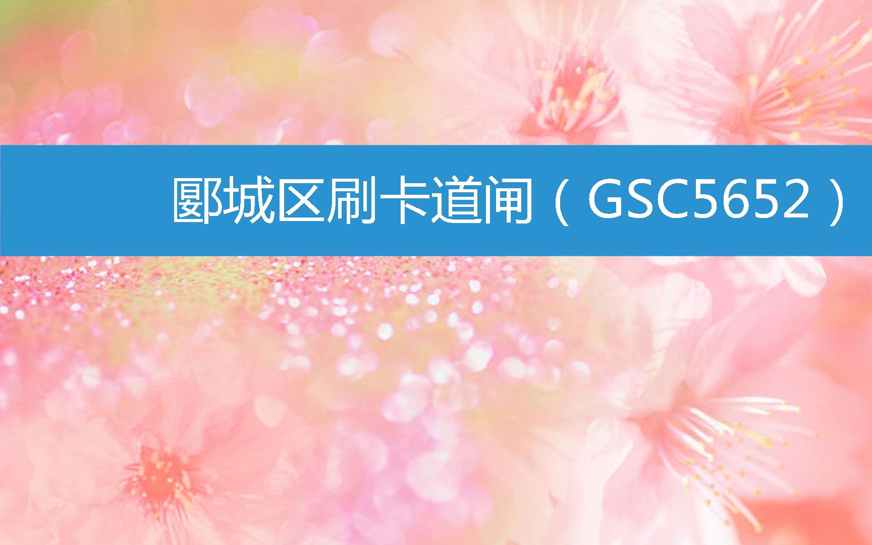 郾城区刷卡道闸(GSC5652) (2023年3月14日19时20分24秒已更新)哔哩哔哩bilibili