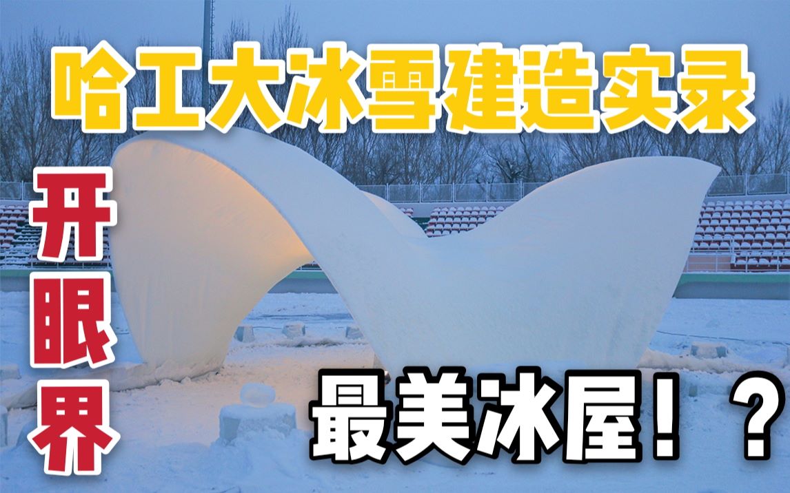 最美冰屋?南极冰壳?2019冰雪建造节哈工大组建造实录带你开眼界~~哔哩哔哩bilibili