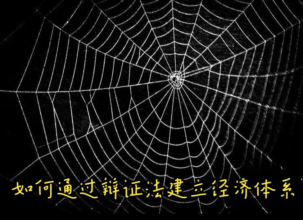 如何通过辩证法建立经济模型和研究经济现象?【从辩证法重建经济学②】哔哩哔哩bilibili