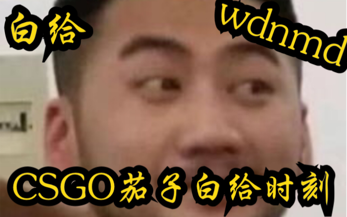 [图]（白给时刻3）CSGO茄子：wdnmd这闪光和下雨一样