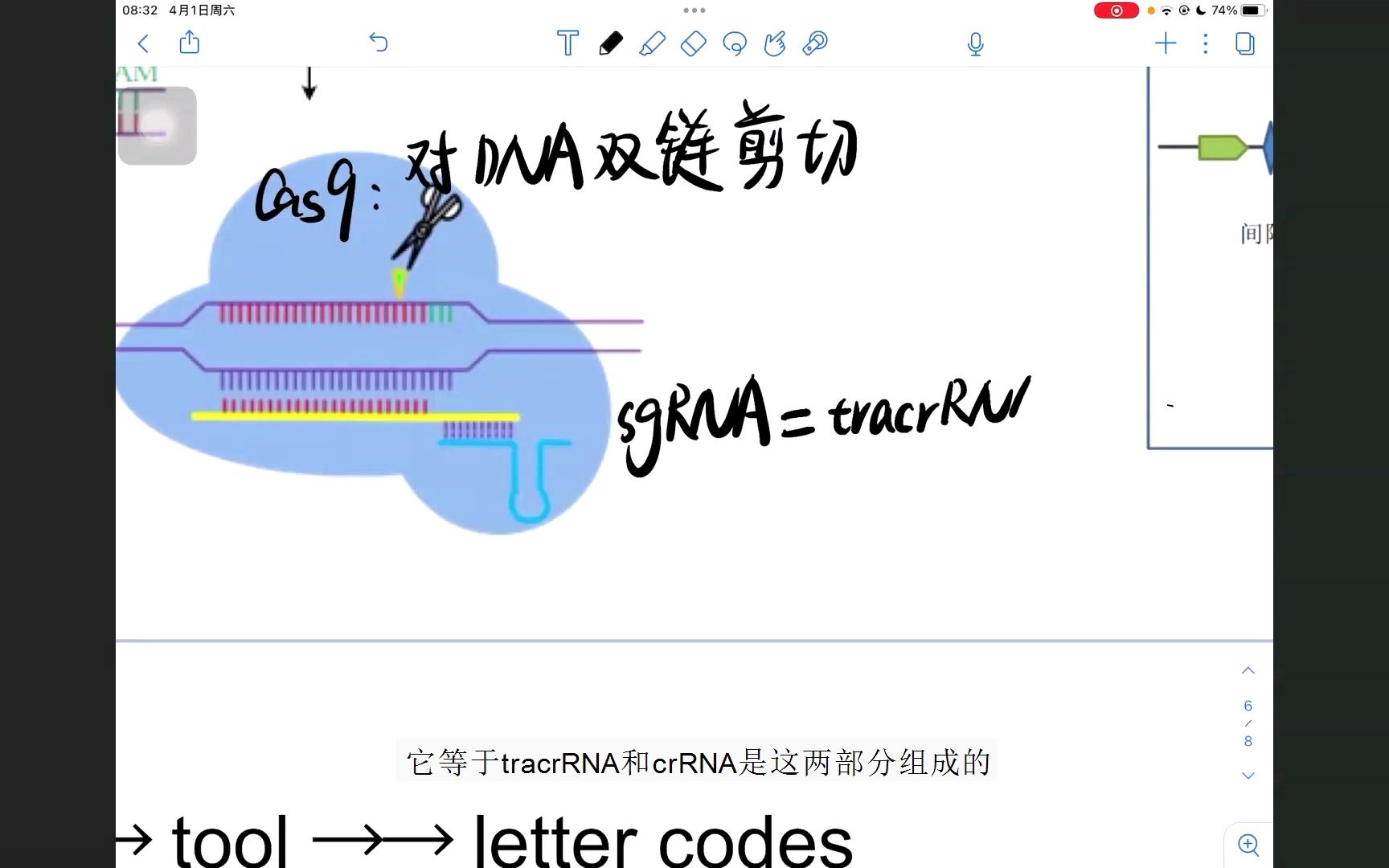 [图]0基础CRISPR-Cas9原理介绍