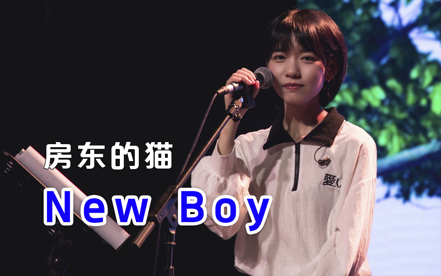 房东的猫 《New Boy》| 以后的路不再会有痛苦 我们的未来该有多酷哔哩哔哩bilibili