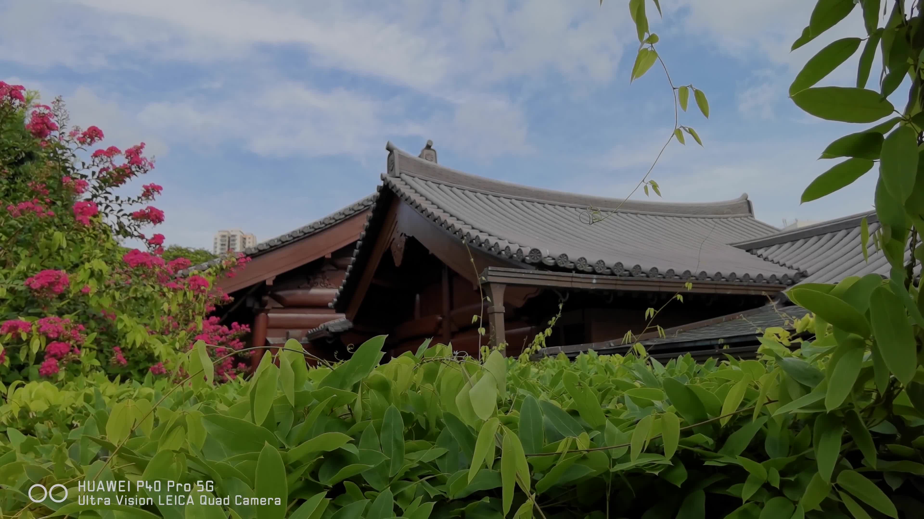 华为p40 pro风景试拍_哔哩哔哩_bilibili