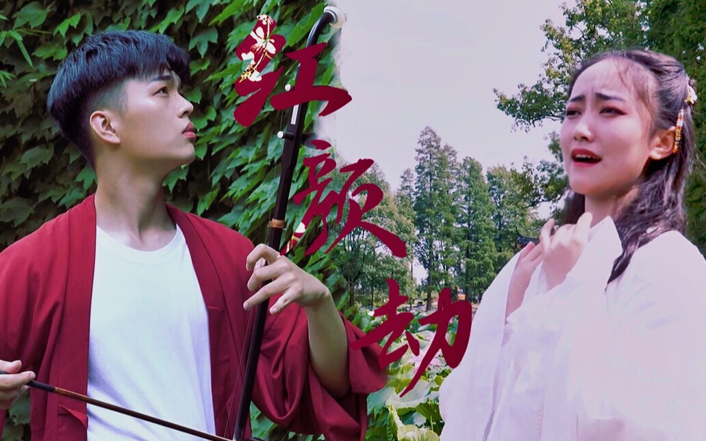 「古风向」国风国乐/二胡演奏 红颜劫