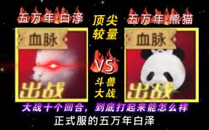 Download Video: 10万战力·白泽 VS 熊猫 大战十个回合！顶级斗兽大战！到底谁更强！还是平分秋色？各有千秋？