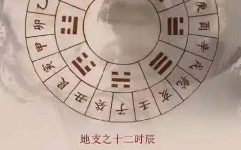 十二地支对应的十二时辰(生肖故事)哔哩哔哩bilibili