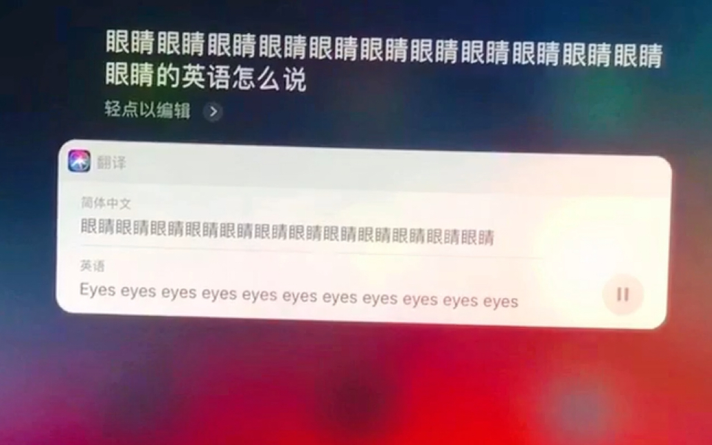 问siri眼睛用英语怎么说?哔哩哔哩bilibili