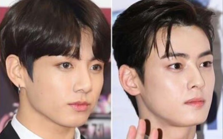 【田柾国 车银优】好养眼的组合