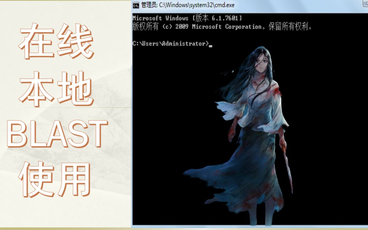 在线、本地BLAST超详细教程哔哩哔哩bilibili