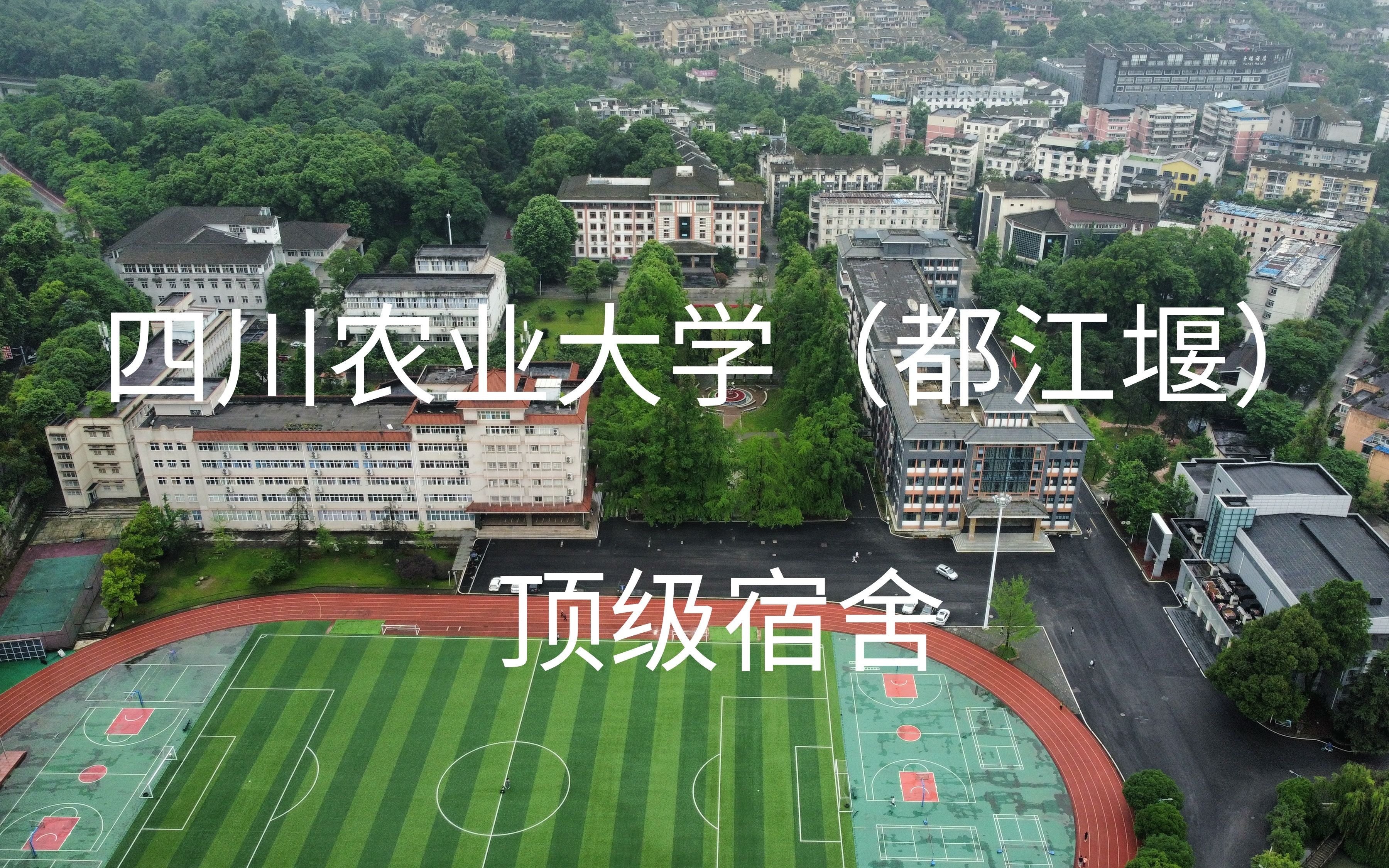 【四川农业大学 I 都江堰校区】这不比招生简章好使?哔哩哔哩bilibili