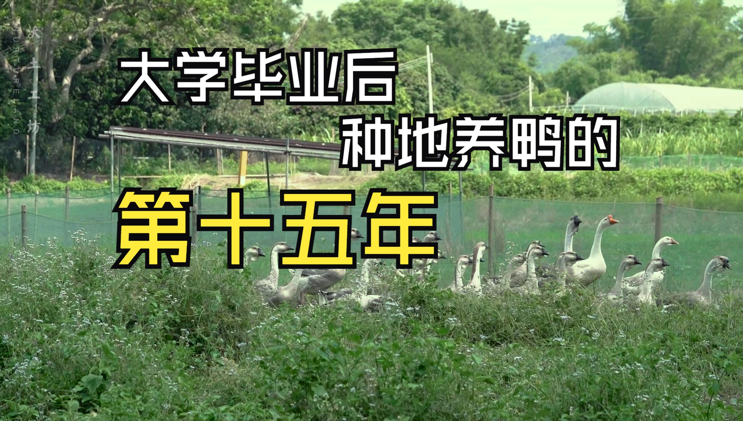 一晃眼竟15年了,从09年开始选择了做生态农场,多年来不计成本的投入自家发酵的堆肥,既收获了安全美味的菜菜,也收获了自家和朋友们健康惬意的生活...