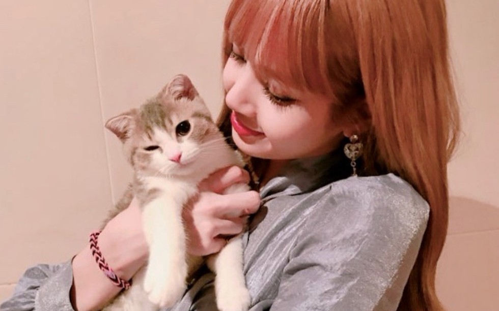 lisascatpart8leolucalilylouissocute