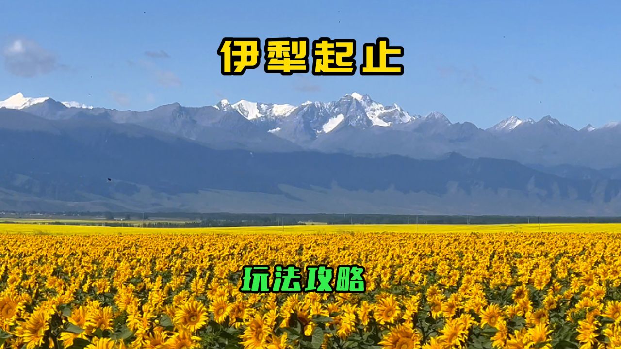 新疆旅行伊犁起止攻略哔哩哔哩bilibili