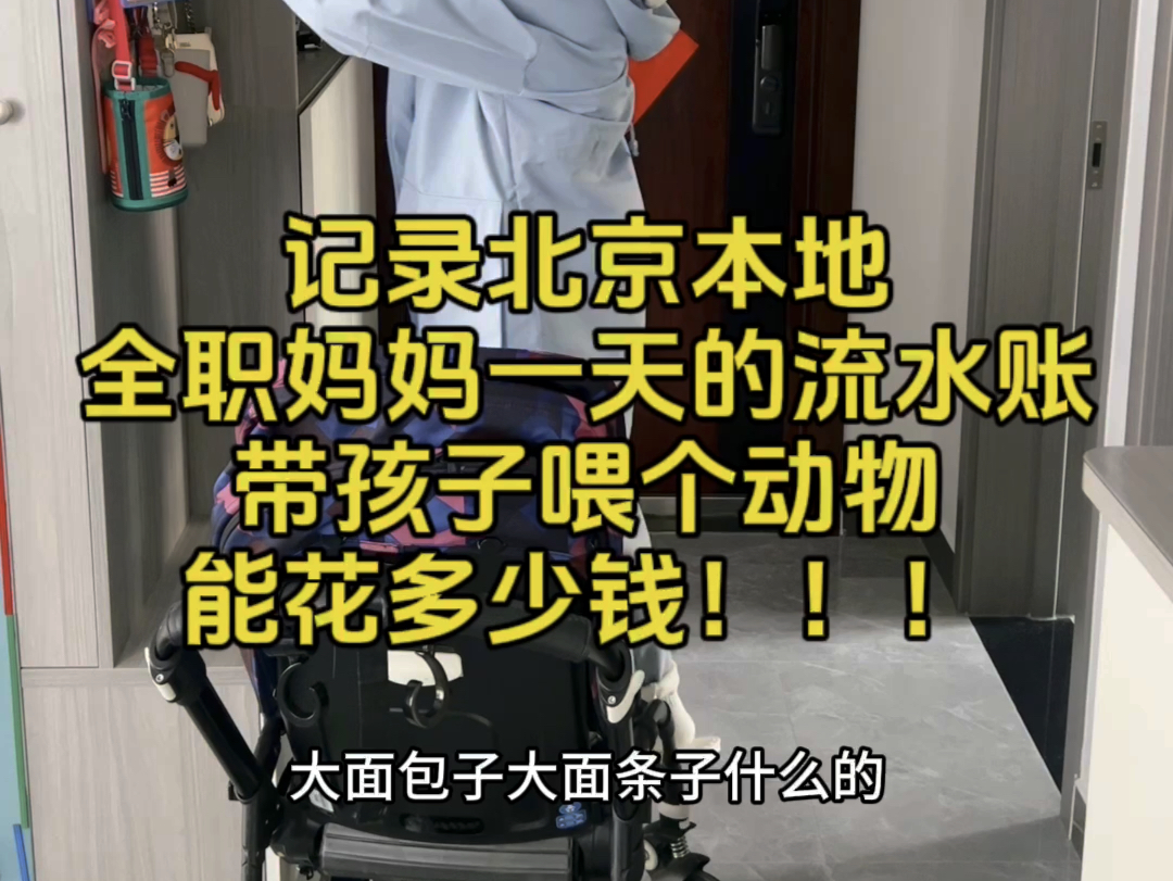 记录北京本地全职妈妈一天的流水账,带孩子喂个动物能花多少钱!!!哔哩哔哩bilibili