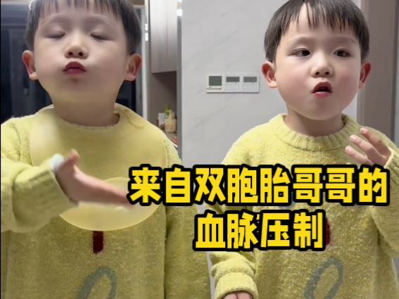 一个是真的爱弟弟,一个是真的听哥话!-胖团和胖圆-胖团和胖圆-哔哩哔哩视频