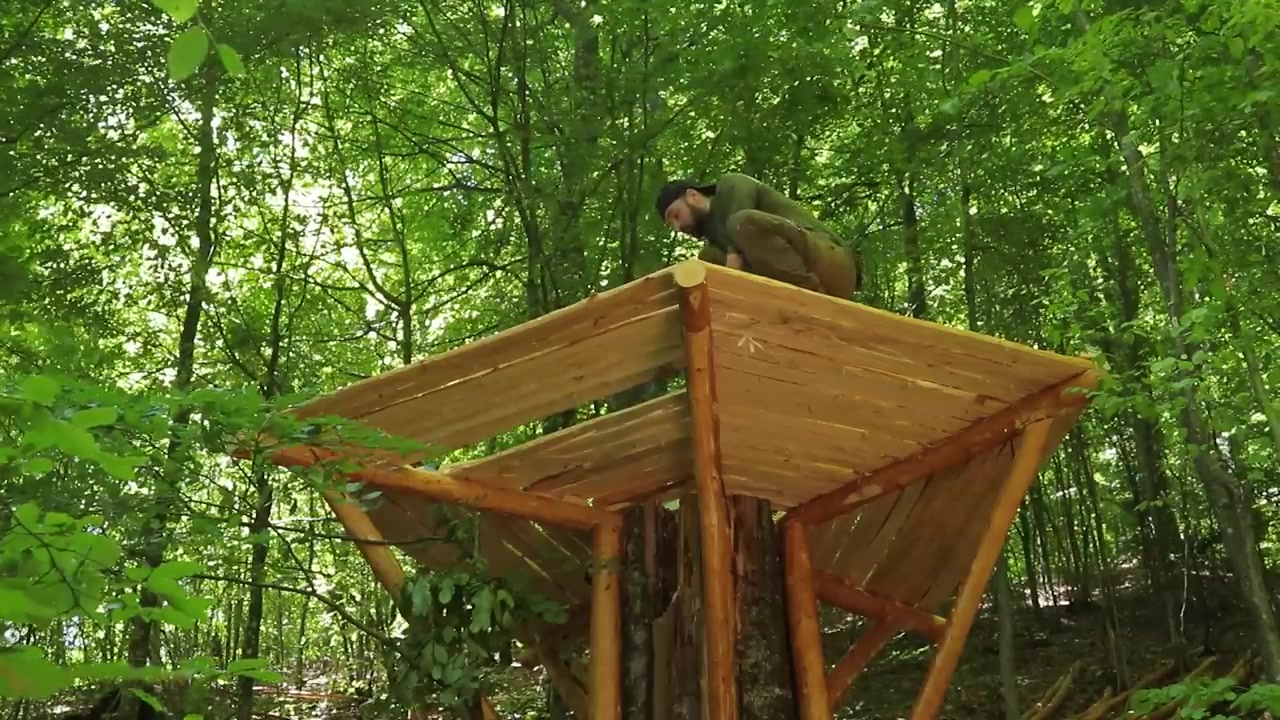 [图]Tree house with your own hands. Start to finish