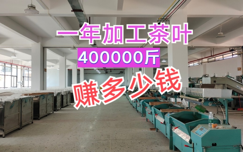 茶厂一年加工400000斤茶叶,赚多少钱?茶叶行业水太深哔哩哔哩bilibili