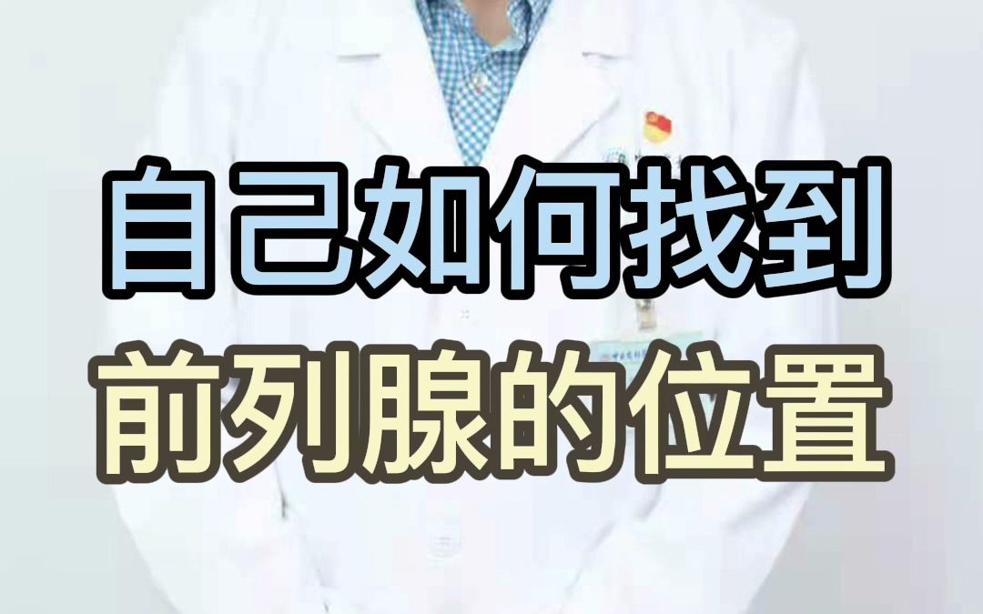 自己如何找到前列腺的位置哔哩哔哩bilibili