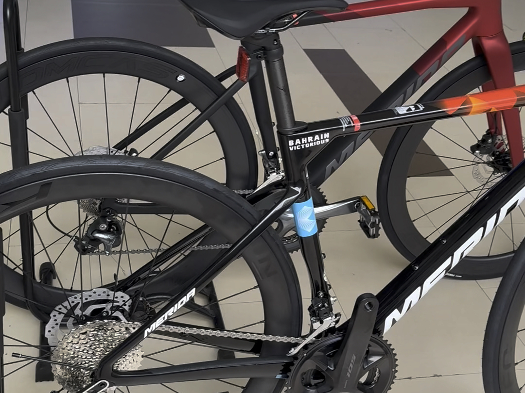 你选卡本还是斯特拉1000d