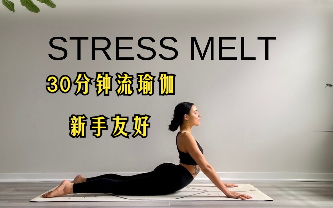 【30分钟流瑜伽】深度延展 放松解压丨提高身体灵活度丨新手友好