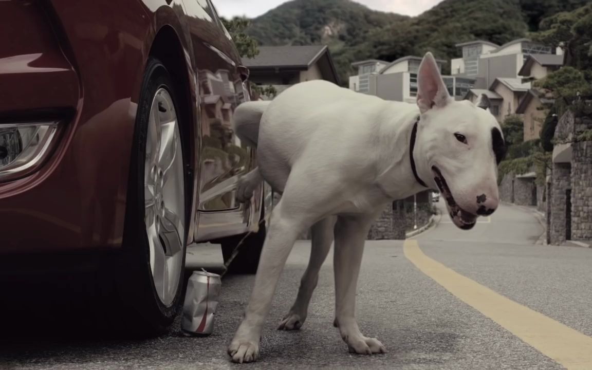 韩国创意公益广告-i am your father