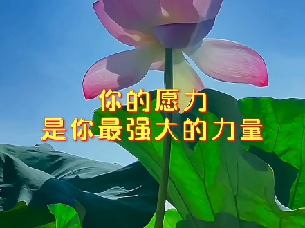 你的愿力是你最强大的力量