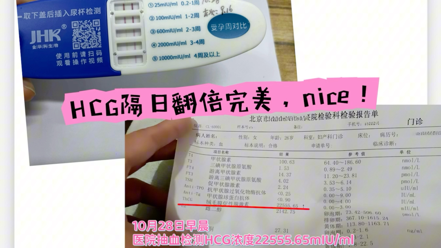 HCG浓度自己能在家检测吗?哔哩哔哩bilibili